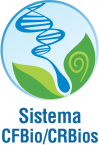 forum-logo-sistema-site